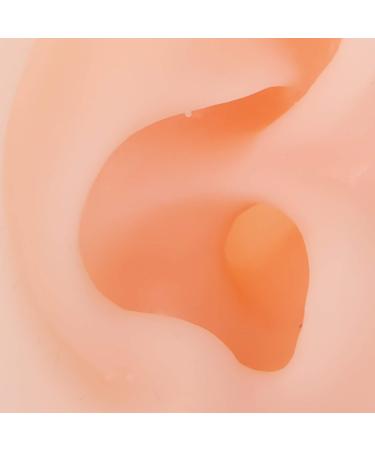 Silicone Human Ear Model for Hearing Aid Demonstration - Shop Window Display - Buy Online on GoSupps.com