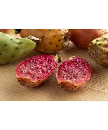 Prickly Pear Seed Oil - 100% Pure Organic Moroccan Barbary Fig Cactus Seed Oil - 10ml - Buy Online on GoSupps.com
