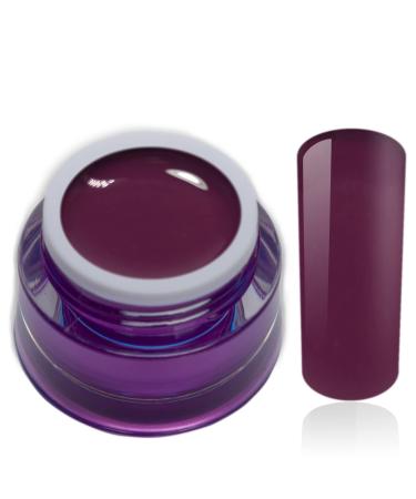 Color Gel Caspia Plum Purple Uv Led Nail Gel Studio Quality Color Gel RM Beautynails 1 Pack (1x 5ml)
