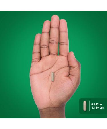 Piping Rock Gymnema Sylvestre Supplements | 200 Capsules | Concentrated Herbal Extract | Non-GMO and Gluten Free - Buy Online on GoSupps.com