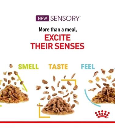 Royal Canin Sensory Mixed Pack in Gravy 24 x 85g (8 x Smell/8 x Taste/8 x Feel) - Buy Online on GoSupps.com