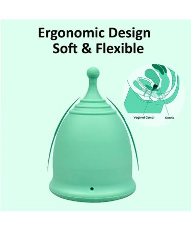 Buy SHORDY Menstrual Cup (Small) - Eco-Friendly Copa Kit for Women Up to 12 Hours Comfort Soft & Flexible - International Shipping Available - Buy Online on GoSupps.com