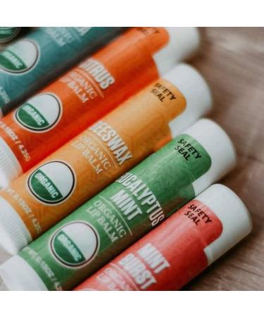 NaMa 100% Natural Organic Lip Balm Set Moisturize long lasting hydrate lip care 6 flavours Vanilla Beeswax Coconut Citrus Strawberry Mint Burst perfect for travel use pocket purse size - Buy Online on GoSupps.com