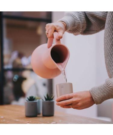 Potluck Potato Deluxe Spice Mix | Vegan Gluten-Free Ceramic Pot | 80g Natural Ingredients - International Shipping Available - Buy Online on GoSupps.com