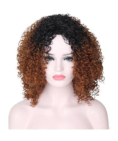 Curly Hair Wigs for Black Women | Natural Kinky Curly Afro Lace Front Wigs | Short Fluffy Wavy Human & Synthetic Options - Buy Online on GoSupps.com