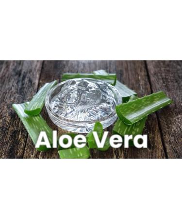 Dr. Herbal Marine Collagen Daily Moisturiser with Bladderwrack Caviar Aloe Vera Anti-Aging Cream for Wrinkle Reduction Skin Hydration Firmness & Rejuvenation - Buy Online on GoSupps.com