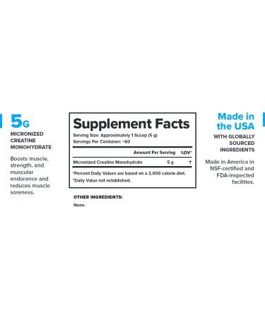 LEGION Micronized Creatine Monohydrate - Clean Creatine Powder for Muscle Gain & Recovery | 60 Servings Unflavored Maximum Absorption - Buy Online on GoSupps.com