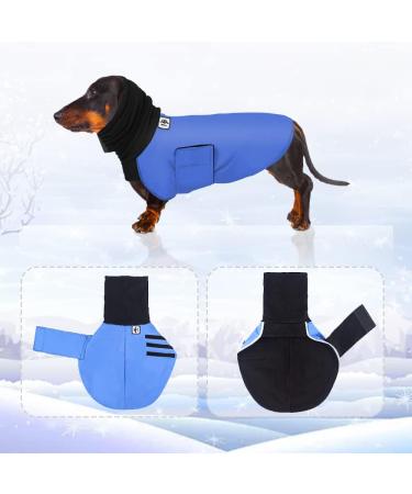 Dachshund Raincoat - Waterproof Winter Clothes for Miniature Dachshund XS Blue - Buy Online on GoSupps.com
