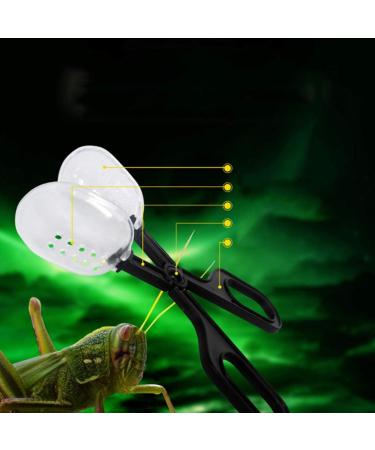 Toyvian Reptiles Zonge Clip - Feeding & Cleaning Tool for Amphibians Terrarium Spiders Crickets & Small Pets - 2 Pieces | Ideal for Aquariums - Buy Online on GoSupps.com
