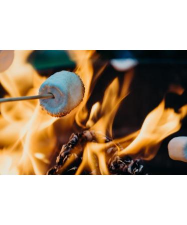 Gluten-Free American Style Jumbo Marshmallows - White & Pink - 2-Pack (300g x 2) from Epic Snax Co. Ideal for Camping Barbeque Bonfire Roast Toastin' and Smores - 600g Total - Plus 10x Skewers - Buy Online on GoSupps.com