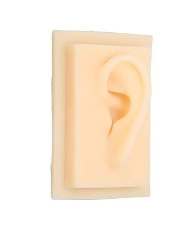 Natural Size Silicone Ear Model for Teaching - Left & Right Human Ear Models | Angrek - Buy Online on GoSupps.com