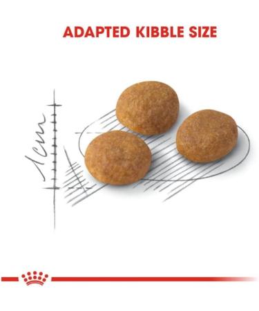 Royal Canin Aroma Exigent Complete Adult Dry Cat Food 4 x 400g - Buy Online on GoSupps.com