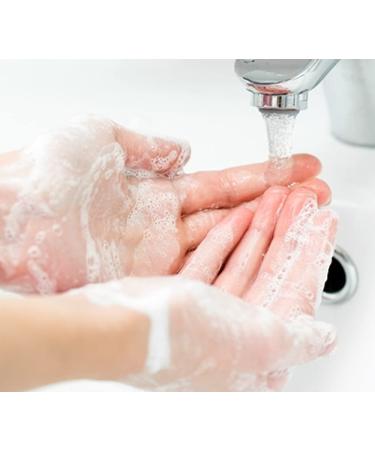 Dionis Goat Milk Skincare Hand Soap 8.5 oz - Caramel Pumpkin Spice | Shop Now! - Buy Online on GoSupps.com