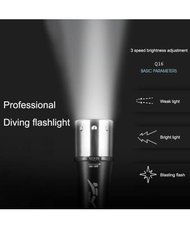 2 Pack 1200 Lumens Diving Flashlight | IPX8 Waterproof Dive Light with L2 LED Torch | Rechargeable Power | Ideal for Scuba, Snorkeling, and Underwater Sports - Buy Online on GoSupps.com