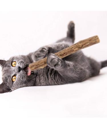 tiopeia 30 PCS Cat Catnip Sticks Natural Matatabi Chew Sticks as Dental Treat Teeth Grinding Chew Toys for Cat Kitten Kitty - Buy Online on GoSupps.com