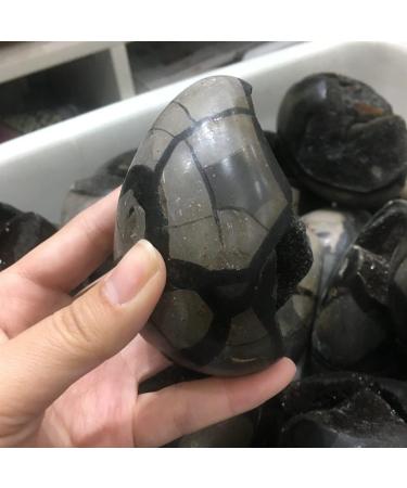 Specimen Healed 380-400g Natural Crystal Tortoise Shell Stone raw Stone Crystal As a Gift FZUGEDRLI - Buy Online on GoSupps.com