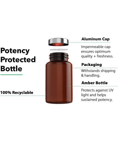 Vitamin Bounty Elderberry Immune Support - with Zinc, Vitamin C & Echinacea, Advanced 5-in-1 Blend, Powerful Antioxidant, Supports Whole Body Balance, Non-GMO - 60 Capsules, 2 Pack 60 Count (Pack of 2) - Buy Online on GoSupps.com