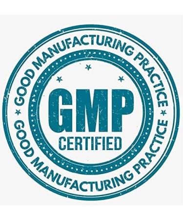 Herbal wellness extract - GINKGO BILOBA EXTRACT - Ginkgo biloba leaf powder Antioxidant herbal product Botanical support supplement Ginkgo antioxidant boost Daily antioxidant 2 Bottles 120 Caps - Buy Online on GoSupps.com