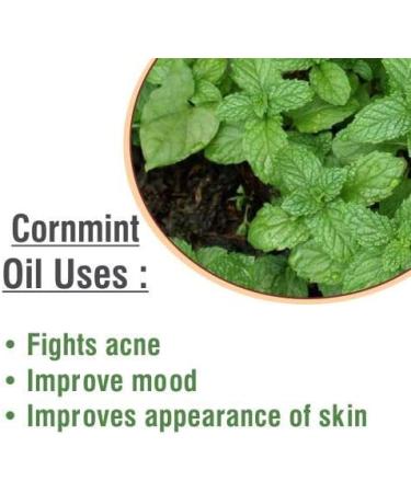 100% Pure Salvia Cornmint Oil - Undiluted Essential Oil 50ml | International Shipping Available - Buy Online on GoSupps.com