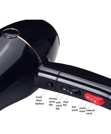 Professional Hair Dryer with Diffuser for Curly Hair Power Dry Lightweight DC Motor Hair Dryer Negative Ion Fast Drying Time and Low Noise For Household Travel Office (EU plug (220V) Black) EU plug (220V) Black - Buy Online on GoSupps.com