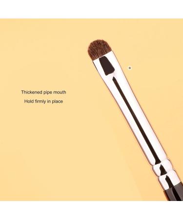 Eye Shadow Brush Kit Easy Apply Comfortable Grip Ergonomic Handle Detail Makeup Brush Kit 4pcs Moderate Texture Soft Hair for Home Use - Buy Online on GoSupps.com