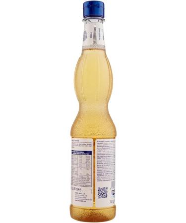 Fabbri Flavoring Syrup Elderflower Made in Italy 18.9 Ounce (560ml) - Buy Online on GoSupps.com