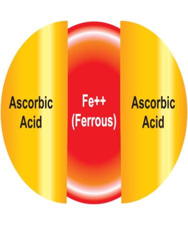 EBMfer 100mg Iron with Vitamin C - High Potency Vegan Capsules | Gentle on Stomach | 30 Count - Buy Online on GoSupps.com