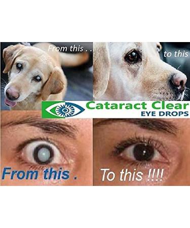 Cataract Clear 1 x 10ml bottle of Superb Proven & holistic treating eye drops for people pets. Contains 2 Percent N-Acetyl-Carnosine over times more than most other N-Acetyl-Carnosine based drops. - Buy Online on GoSupps.com