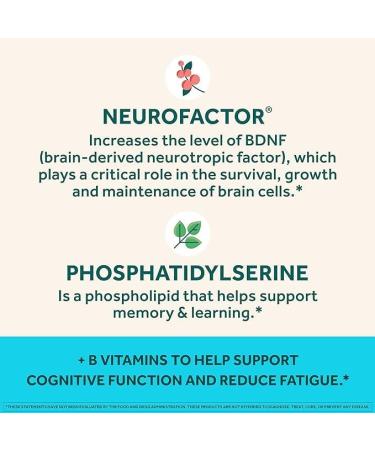 NEURIVAPlusBrain NEURIVABrainPlus Supplement for Memory Focus & Concentration+Cognitive Function with Vitamins B6 & B12 and Clinically Tested Nootropics Phosphatidylserine and Neurofactor 50ct Strawberry Gummies - Buy Online on GoSupps.com