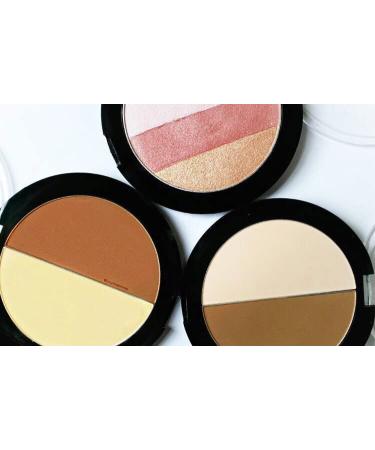 Wet n Wild MegaGlo Illuminating Blush Palette - Catwalk Pink - Buy Online on GoSupps.com