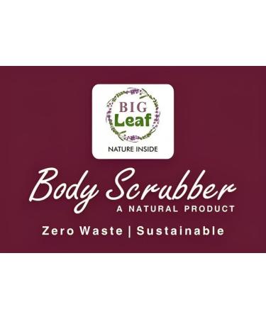 Big Leaf Egyptian Loofah Sponge | 100% Natural Organic Exfoliating Body Scrubber | Textured Oval Shower Sponge for Men Women & Kids | Ideal for Cellulite & Dry Skin - Buy Online on GoSupps.com