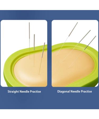 Realistic Acupuncture & Moxibustion Practice Skin Model - Ideal for TCM Teaching Demonstrations - Buy Online on GoSupps.com