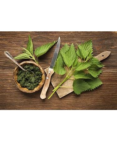 Organic French Nettle Powder - Superior Quality - Eco-friendly resealable Kraft bag - 100 Gr - Buy Online on GoSupps.com