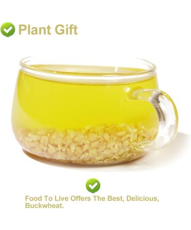 Flower 2 (150G-Yellow Buckwheat Tea) - Buy Online on GoSupps.com