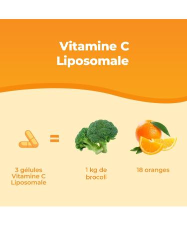 Bandini Vitamine C Liposomale 60 G lules V g tales Haut Dosage Absorption maximale et Biodisponibilit Renforce le Syst me Immunitaire R duit la Fatigue Antioxydant & sans OGM 800mg par Dose - Buy Online on GoSupps.com