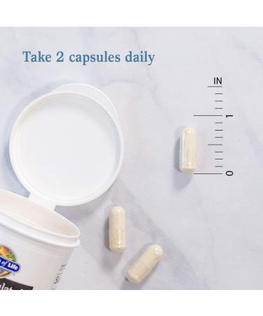 Dr. Formulated Probiotics Platinum Series Restore 200 Billion CFU - Vegan, Non-GMO, Gluten-Free, Dairy & Soy Free - 28 Capsules - Buy Online on GoSupps.com