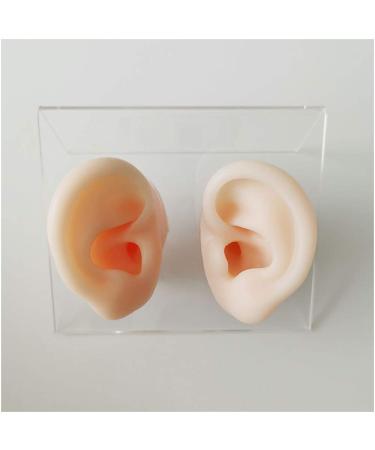 Soft Silicone Artificial Ear Model - Artificial Simulation Human Ear for Acupuncture Piercing Practice - Simulation Ear Model - for Ear Picking Practice Studs Earring Display Props B