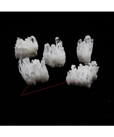 Natural Clear White Quartz Crystal Cluster Geode Gemstones Raw Specimen Home Decor 2-3cm Rocks - Buy Online on GoSupps.com