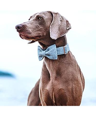 Buy Dogwong Adjustable Blue Dog Collar with Removable Fly | Comfortable Pet Collar for Small & Medium Dogs | Perfect Gift for Girls - Buy Online on GoSupps.com