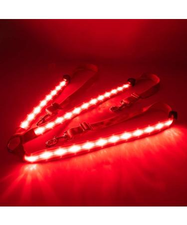 Dowoa LED Horse Harness | Comfortable & Robust Chest Strap for Safety | Best Visibility for Riding - Red-2 - Buy Online on GoSupps.com