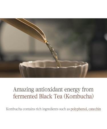 Pyunkang Yul Black Tea Deep Infusion Toner 130ml for Anti-Aging with Hyaluronic Acid and Ceramide - Korean K Beauty Toner for Women; Fine Line Care for Firm, Bright Skin - Buy Online on GoSupps.com