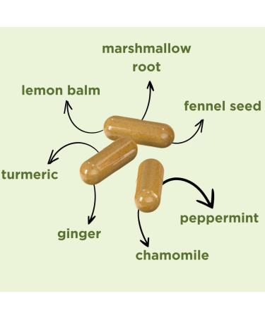 Inaya Nutrition BloatBarrier 72 Capsules - Natural Digestion and Bloating Supplement for Stomach Bloating Relief Gas Reduction and Improved Bowel Movements Vegan Gut Health Supplements - Buy Online on GoSupps.com