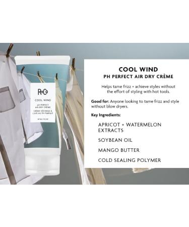Buy R+Co Cool Wind pH Perfect Air Dry Cr me (5 Oz) + Travel Size | Hydrates Tames & Softens | Vegan & Cruelty-Free | International Shipping Available - Buy Online on GoSupps.com