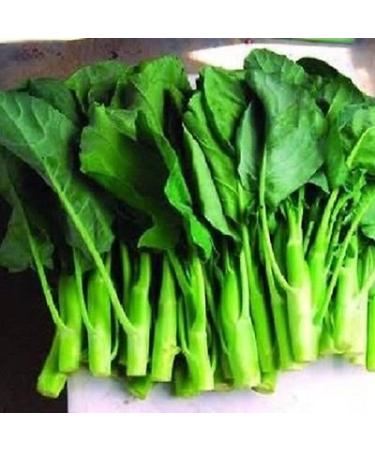 150 seeds Kailaan/Cai Lam Chinese Kale 40 / 60 days unique flavor: Seeds