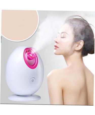 POPETPOP 1pc Face Steamer Cleaning Steamer Facial Spa Steamer Humidifier Hydrating Instrument The Face - Buy Online on GoSupps.com