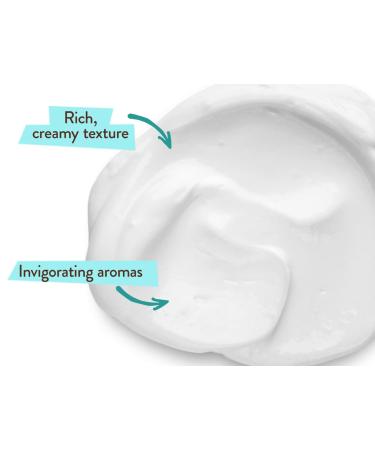 Babo Botanicals Eucalyptus Remedy Conditioner - Gentle & Nourishing Plant-Based Formula for Normal to Oily Hair - Vegan & Hypoallergenic - 6 fl. oz - Buy Online on GoSupps.com