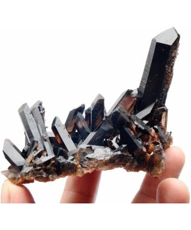 150g Beautiful Natural Clear Black Quartz Crystal Cluster Specimen Crystal Cluster - Buy Online on GoSupps.com