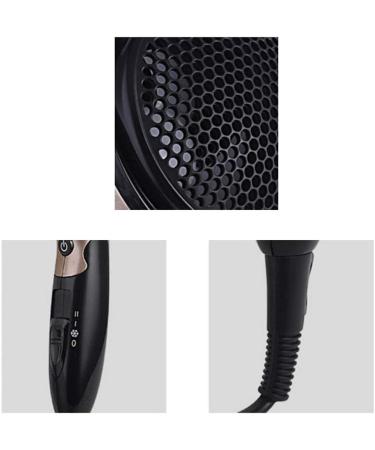ADITAM Professional Tourmaline Hair Dryer Negative Ionic Salon Hair Blow Dryer Dc Motor Light Weight Low Noise Hair Dryers with Diffuser Colour:Black Gold Silver White/Silver Double The Comfort - Buy Online on GoSupps.com