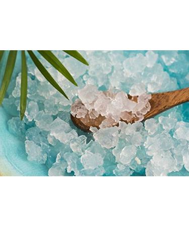 Japanese water kefir grains for making kombucha live probiotics crystals 50 g