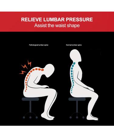 ZJchao Magnetic Lower Back Brace - Adjustable Lumbar Support Belt for Pain Relief & Muscle Prevention - Unisex Breathable Waist Support - Buy Online on GoSupps.com